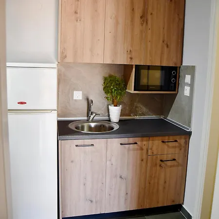 Lejlighed Nine 9 Beachfront Nea Kallikrateia